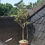 Appartement Ruhige An Der Uni Düsseldorf